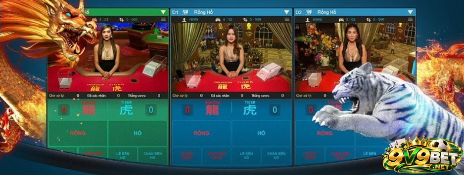 Những cửa cược chính trong rồng hổ