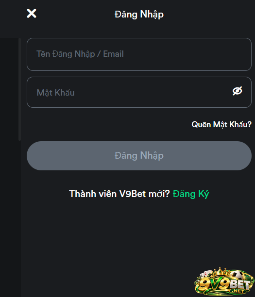 Người chơi phải điền chính xác các thông tin để đăng nhập tài khoản